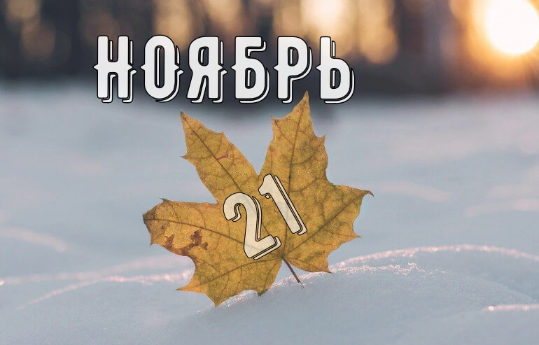 You are currently viewing ОТЧЕТ СОВЕТА ПОЛС О ПРОДЕЛАННОЙ РАБОТЕ ЗА НОЯБРЬ 2021